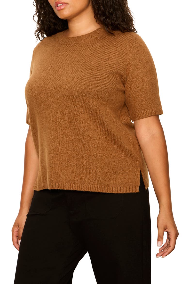 Perfect Short Sleeve Sweater, Alternate, color, COCOA POWDER BROWN
