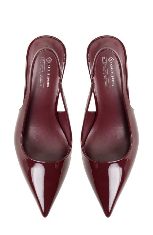 Call It Spring By Aldo Sollenne Slingback Pointed Toe Pump In Burgundy