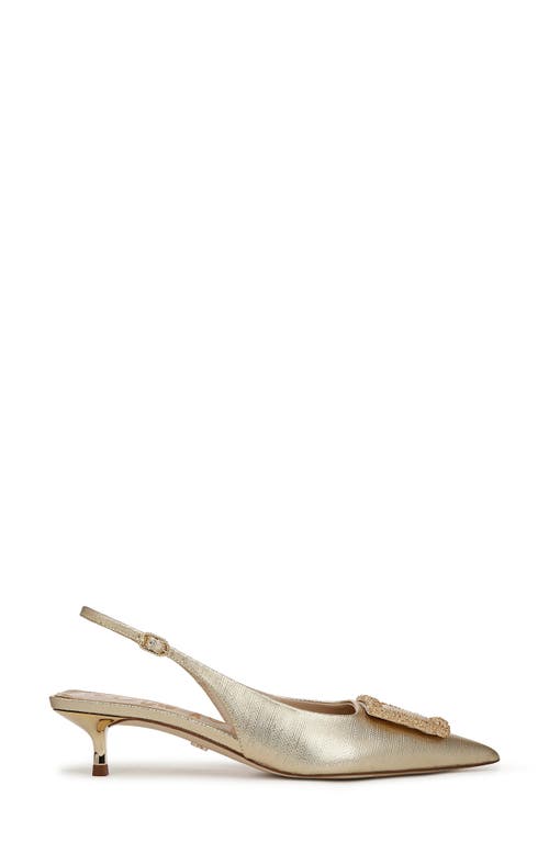 Shop Sam Edelman Kammie Slingback Pointed Toe Kitten Heel Pump In Amber Gold