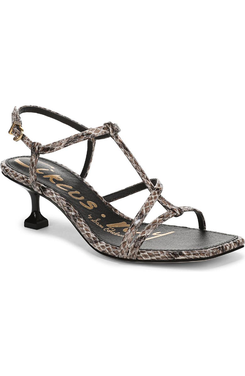 Circus NY by Sam Edelman Jaida Snakeskin Embossed Strappy Sandal, Main, color, Taupe Multi