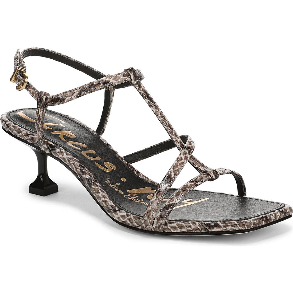 Circus Ny By Sam Edelman Jaida Snakeskin Embossed Strappy Sandal In Multi