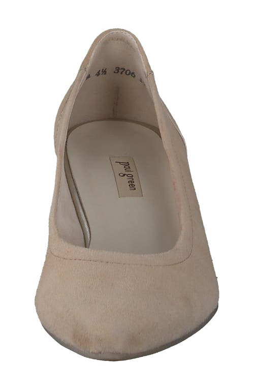 Paul Green Yvette Pointed Toe Pump In Dakar Suede
