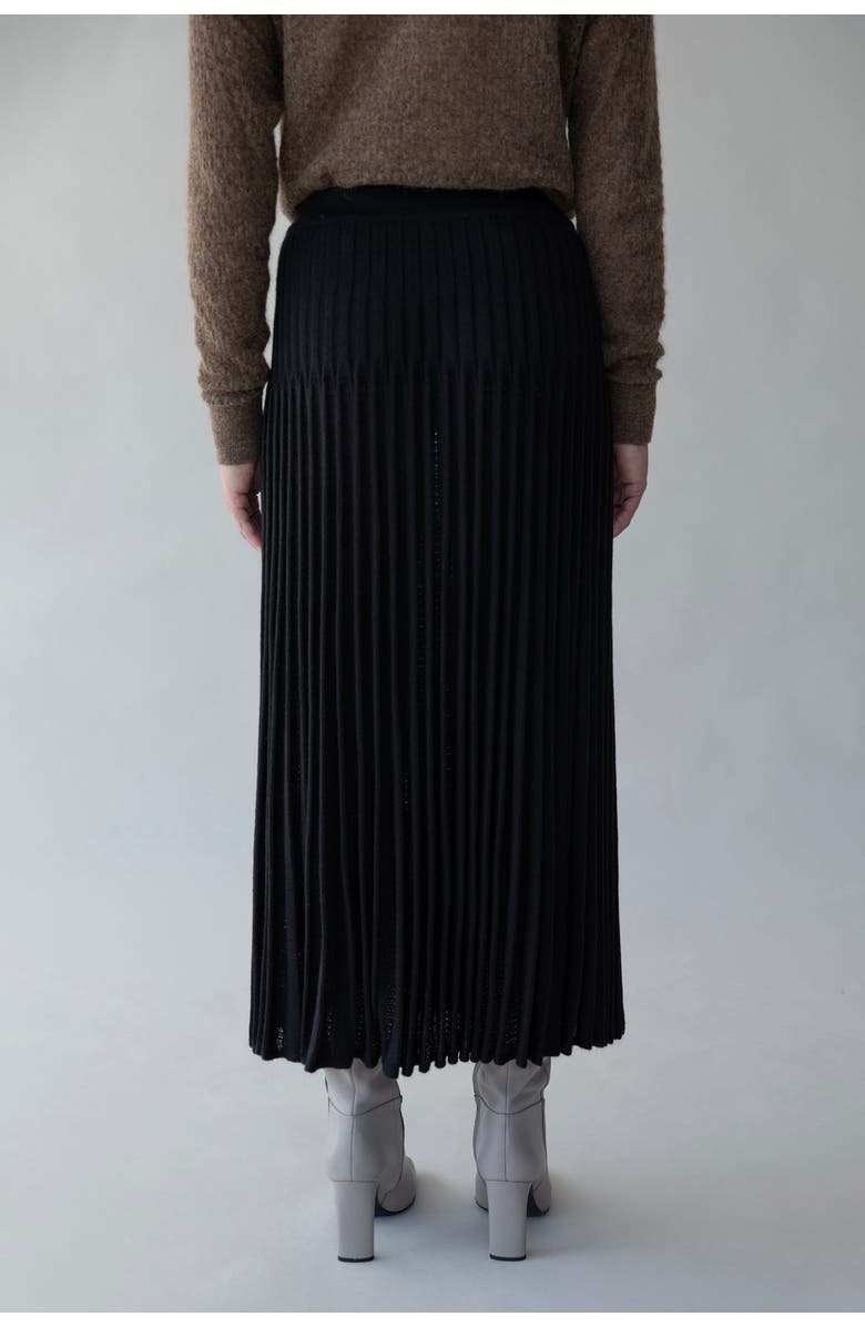 SSKEIN Soleil Skirt, Alternate, color, Black