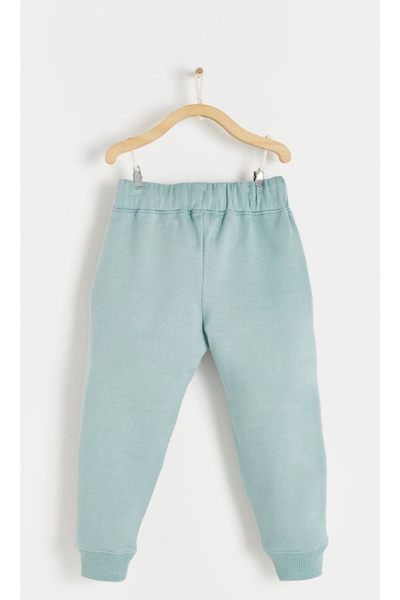 Premium Cotton Merlin Jogger For Infant, Alternate, color, Green