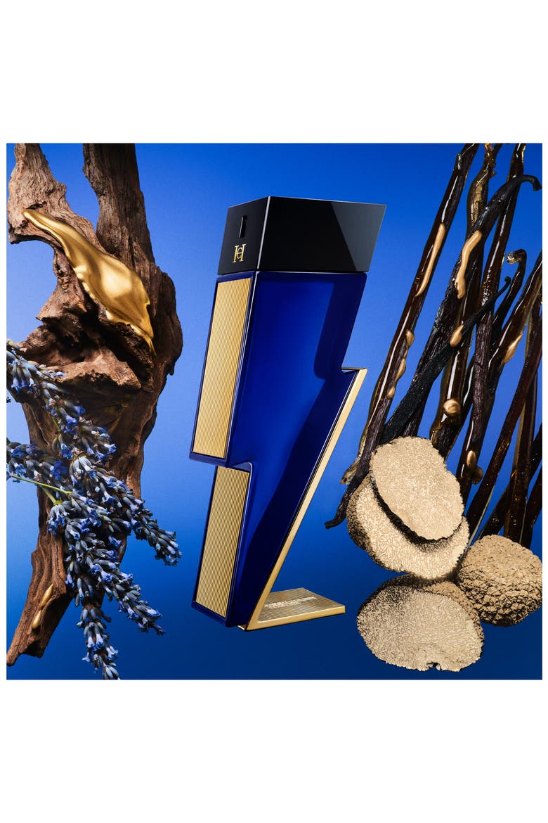 Bad Boy Cobalt Absolute Eau de Parfum Spray, Alternate, color, NO COLOR