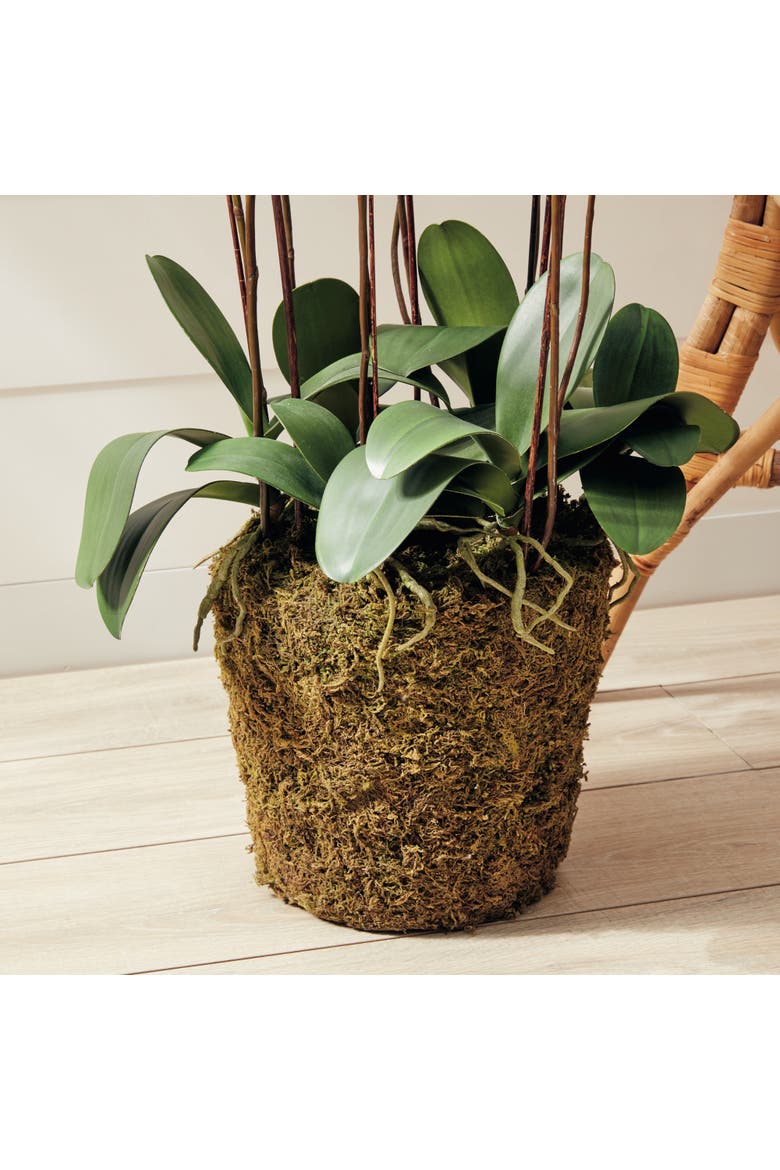 Phalaenopsis Orchid Faux (Fake) Drop-In 36", Alternate, color, White