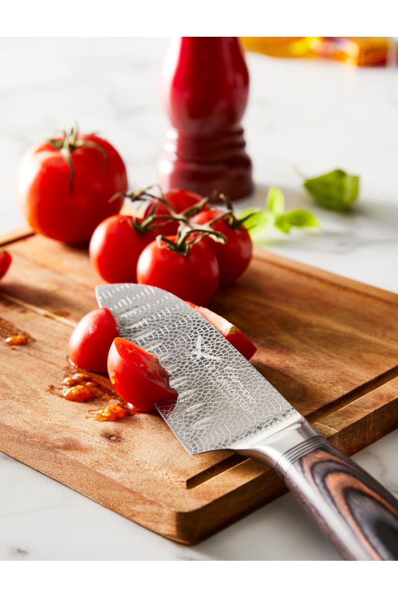 LE CONNOISSEUR™ 5.5in Santoku, Alternate, color, Silver