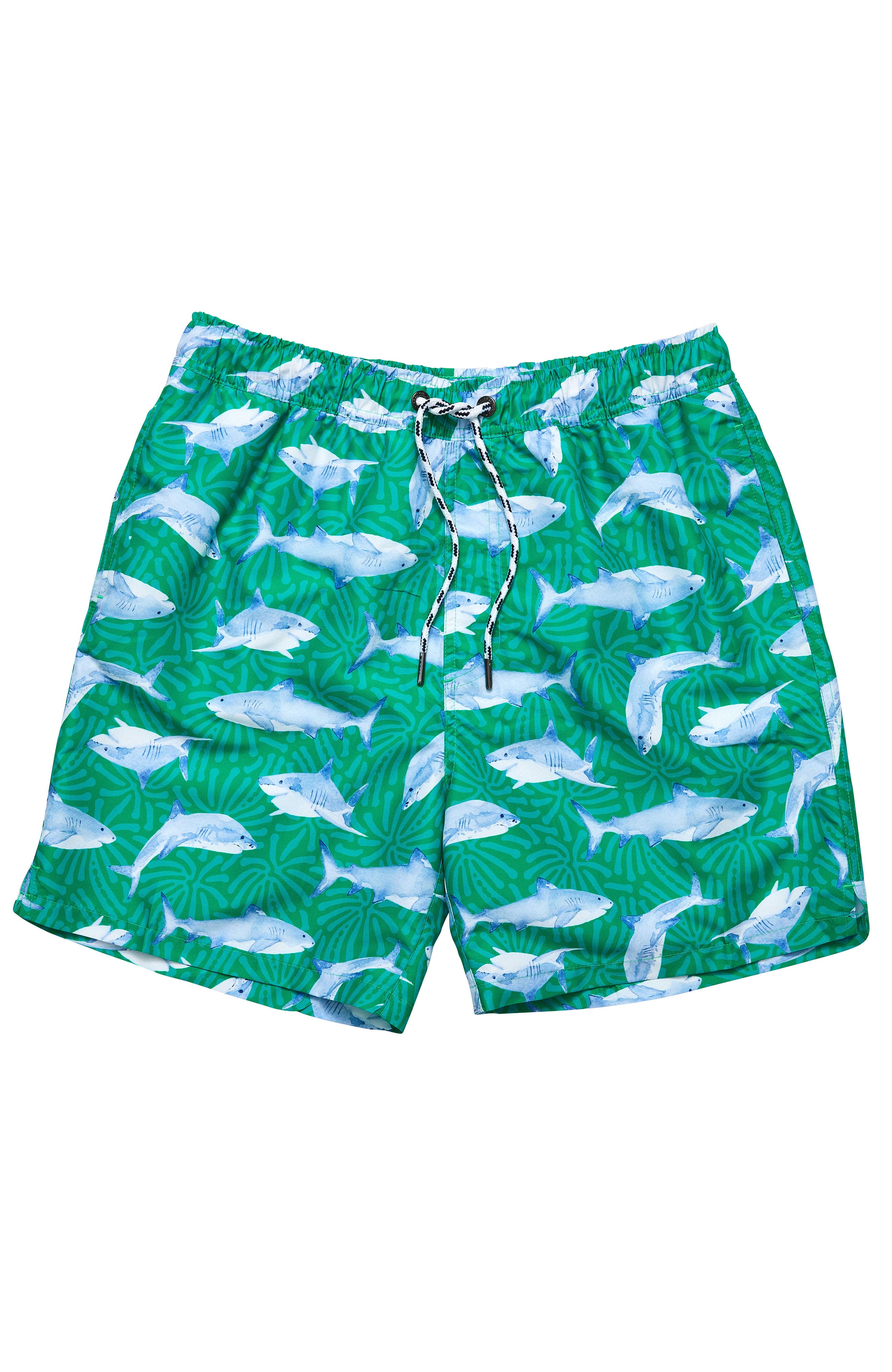 Reef Shark