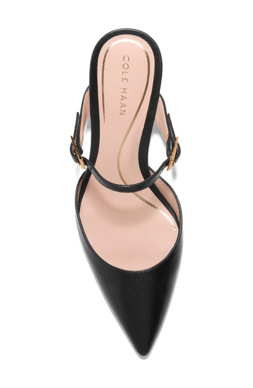 Cole Haan Annalise Pointed Toe Mule In Black