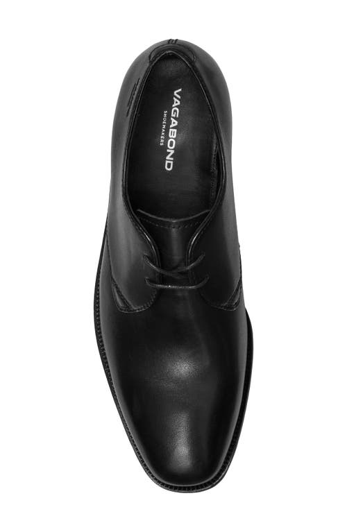 Vagabond Shoemakers Percy Derby