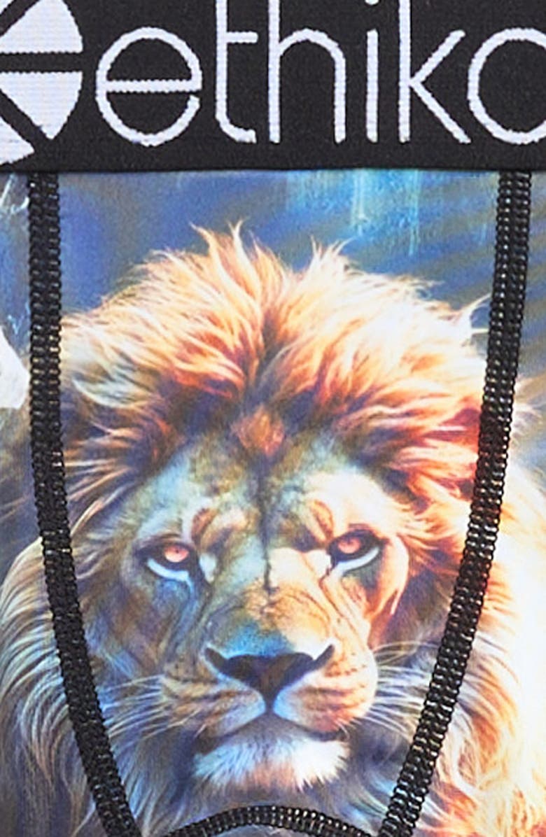 Ethika Kids' Lion Hearted Boxer Briefs, Alternate, color, Blue