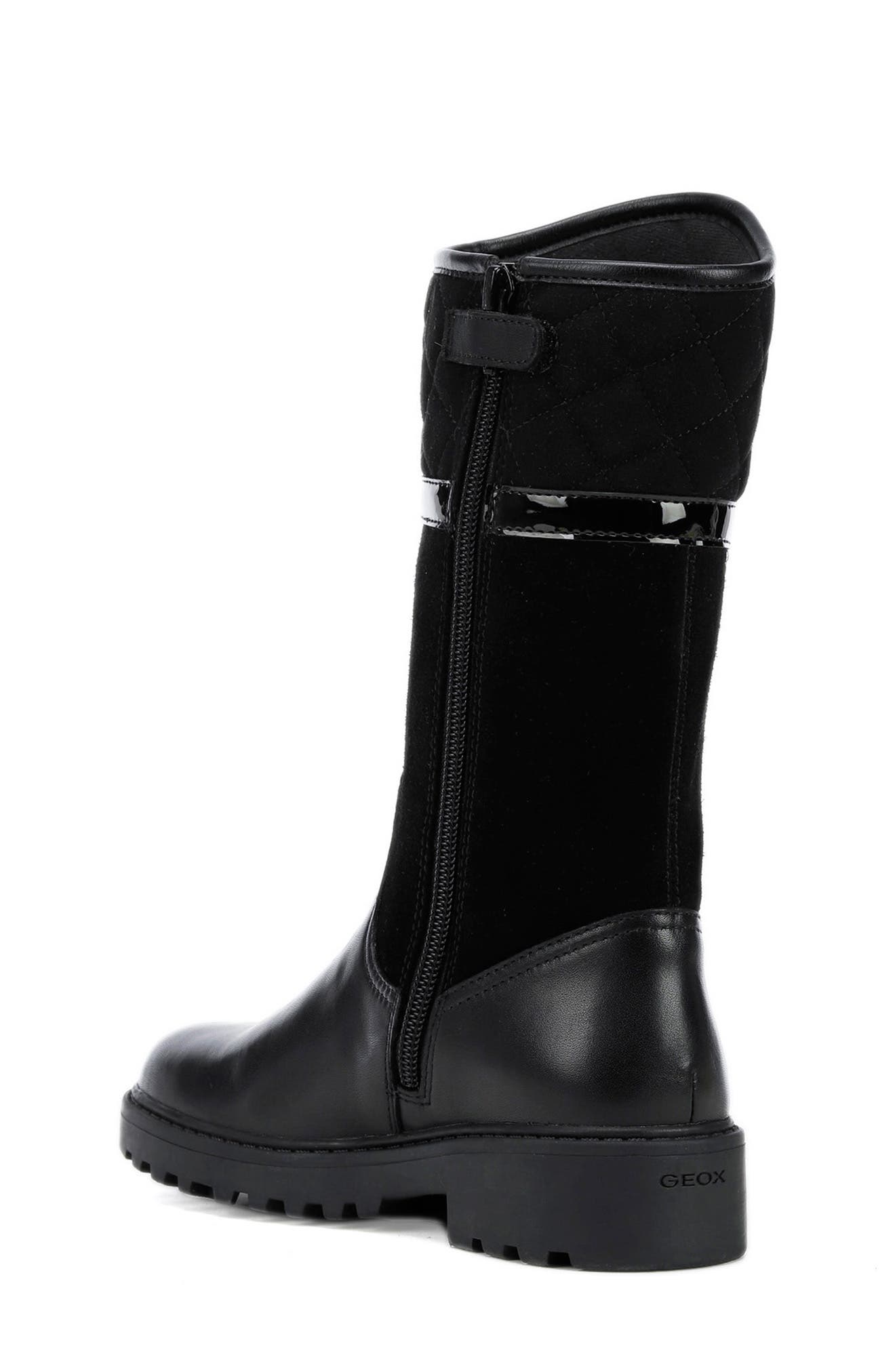 Geox Casey Waterproof Boot, Alternate, color, 