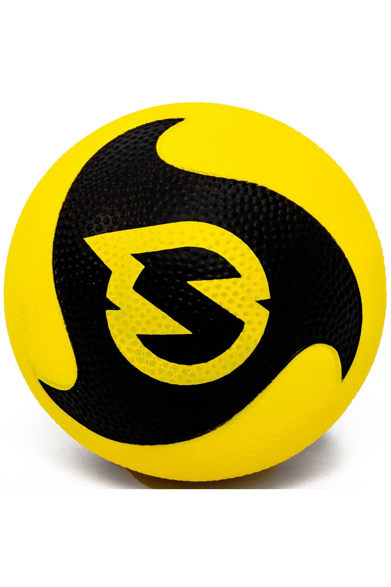 Pro Balls 2 Pack 3.5 Inch Roundnet Accessory, Alternate, color, Multicolored