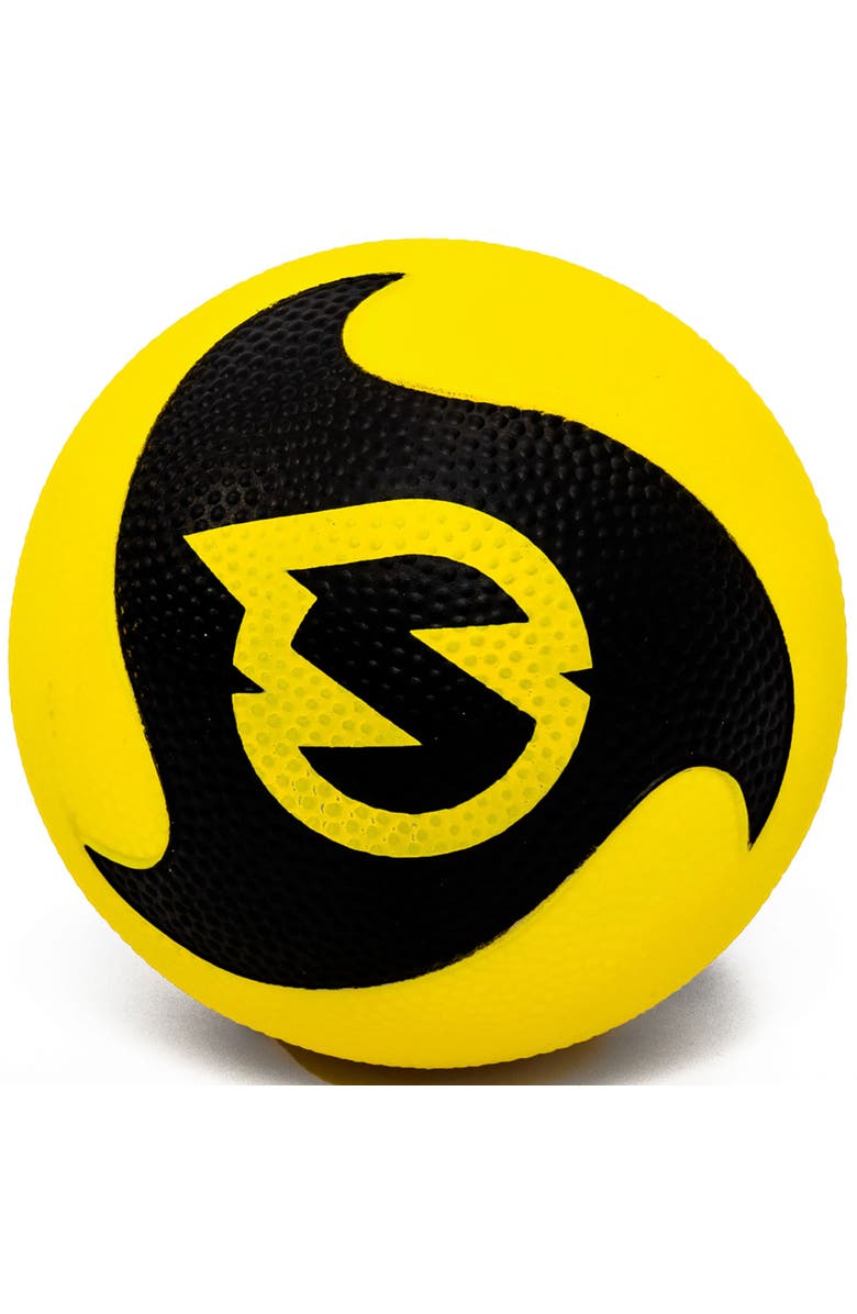 Spikeball Pro Balls 2 Pack 3.5 Inch Roundnet Accessory, Alternate, color, Multicolored