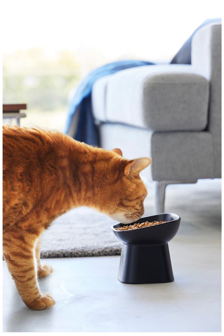 Tilted Pet Food Bowl, Alternate, color, BLACK