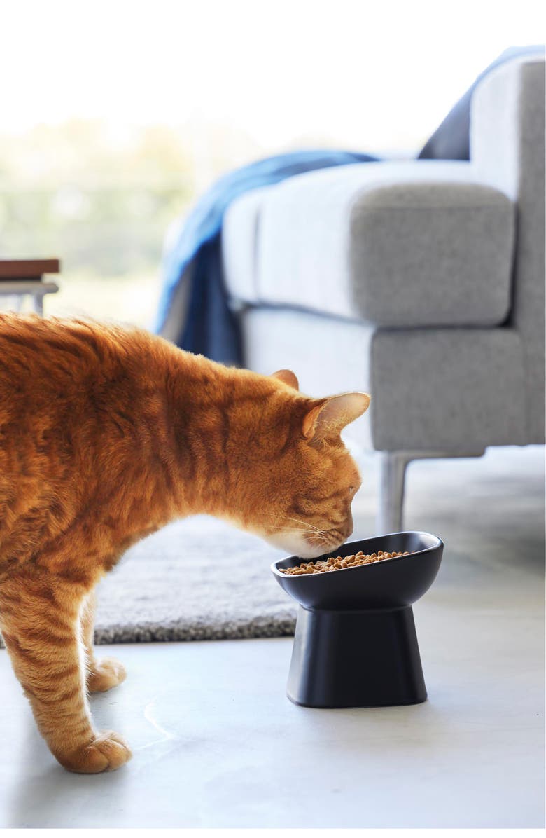 Yamazaki Tilted Pet Food Bowl, Alternate, color, Black