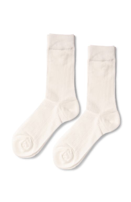 BELLE & BLOOM BELLE & BLOOM GO FOR IT CLASSIC RIBBED SOCKS