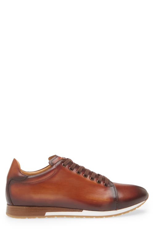 Mezlan Hybrid Sneaker In Cognac Rust