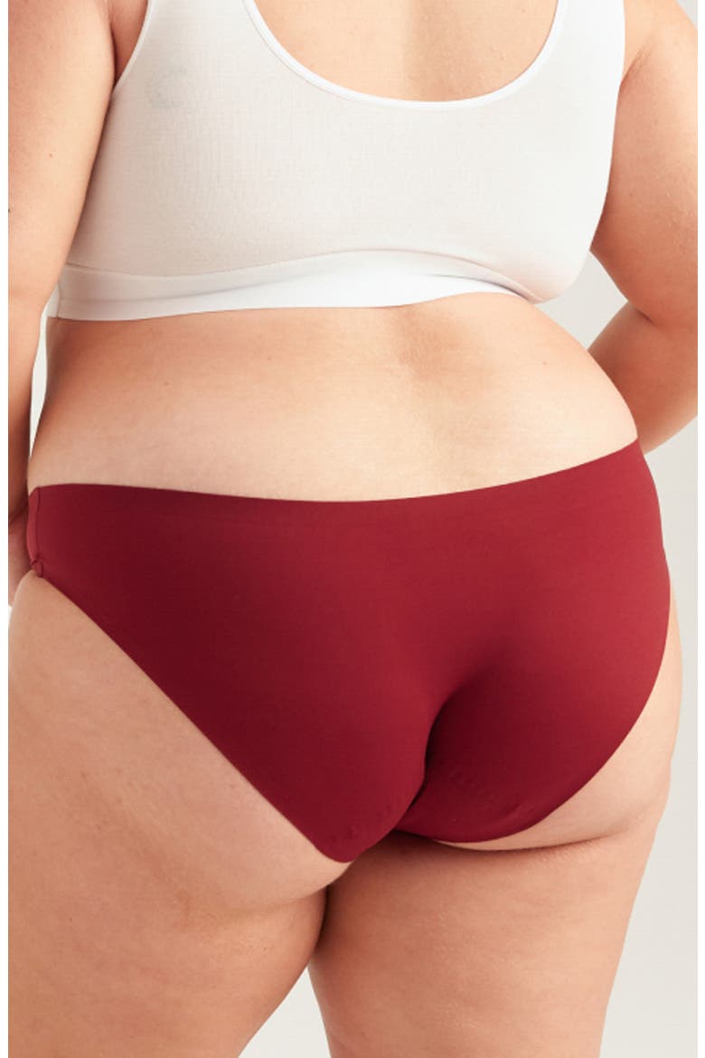Period & Leakproof Super Absorbency Seamless Bikini, Alternate, color, CRIMSON ROSE