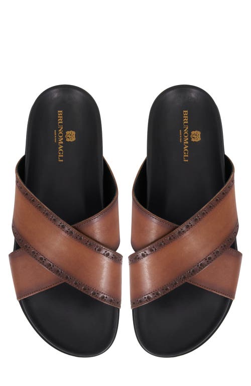 Bruno Magli Federico Sandal In Cognac