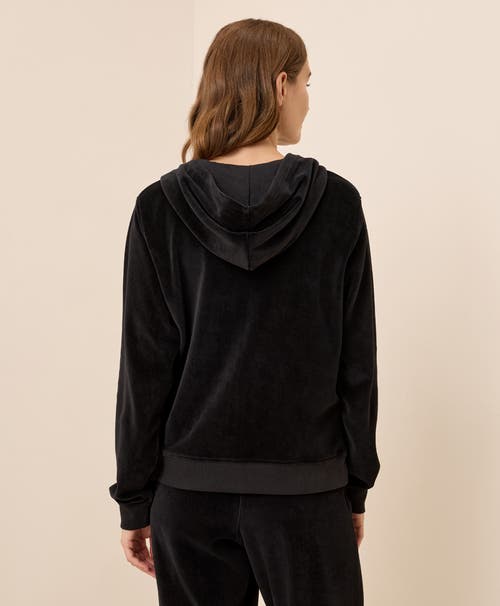 Pact Organic Cotton Pure Velour Zip Hoodie In Black