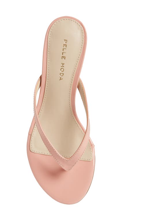 Shop Pelle Moda Slide Sandal