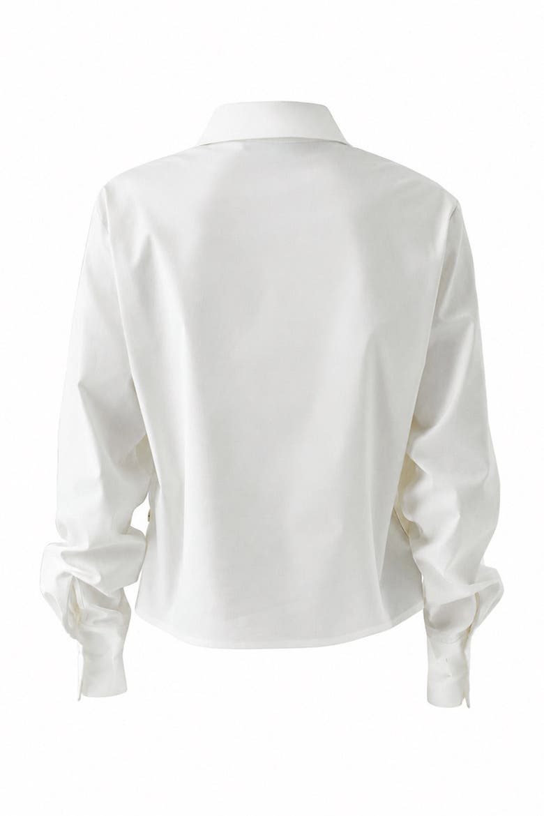 Theodora Long Sleeve Shirt, Alternate, color, ECRU