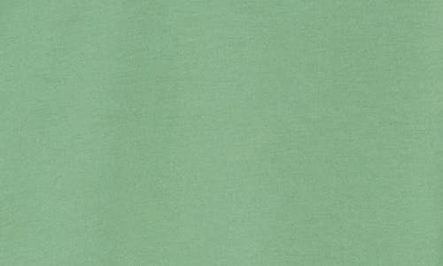 14th & Union Cotton & Modal Blend T-shirt In Green Shale
