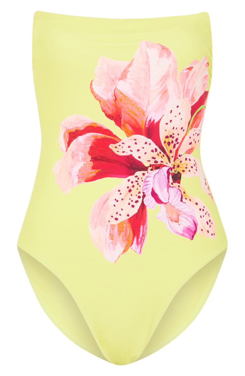 Milly Songe D'Iris Placement Print One-Piece Swimsuit, Alternate, color, 