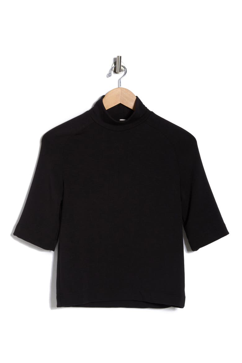 Mock Neck Short Sleeve Sweater, Alternate, color, BLACK