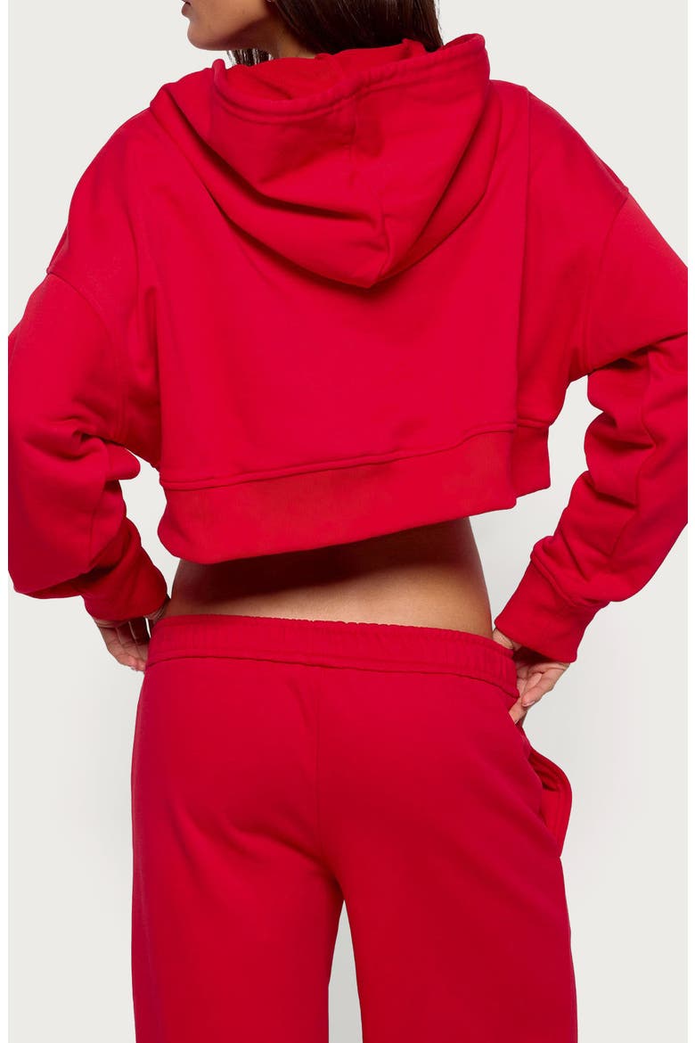 Byrdi Crop Zip-Up Hoodie, Alternate, color, RED