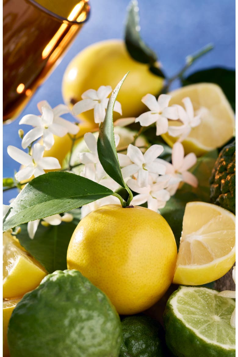 Mediterranean Lemon Three-Wick Tin Candle, Alternate, color, MEDITERRANEAN LEMON