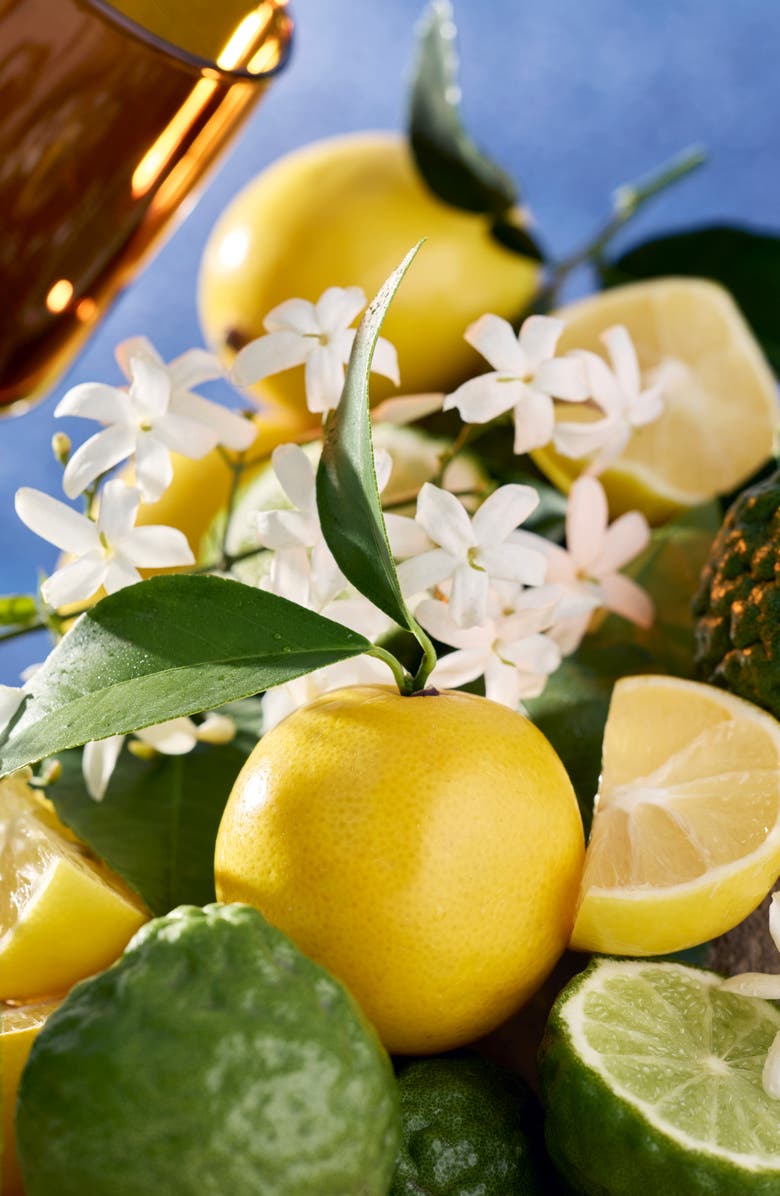 Voluspa Mediterranean Lemon Three-Wick Tin Candle, Alternate, color, Mediterranean Lemon