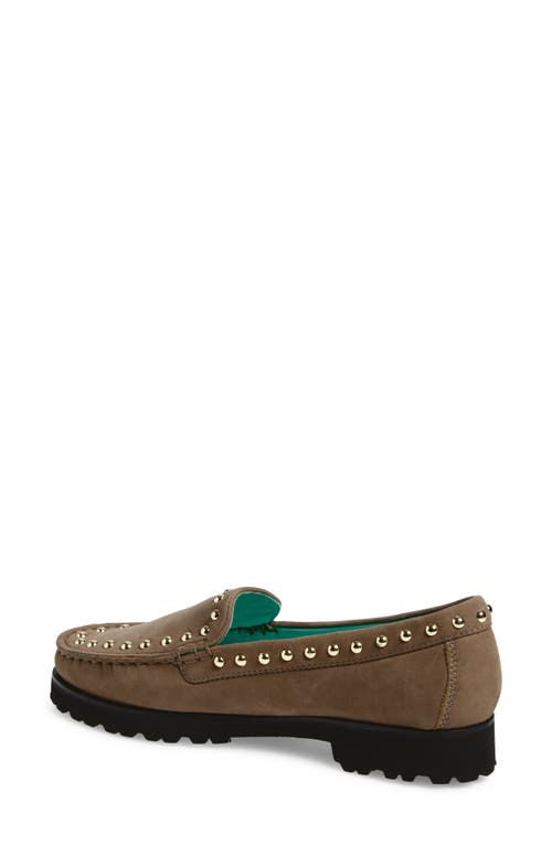 Robert Zur Diane Stud Loafer In Brown