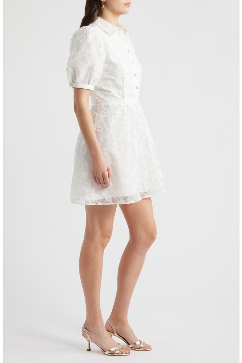 Floral Embroidered Puff Sleeve Minidress, Alternate, color, IVORY CLOUD