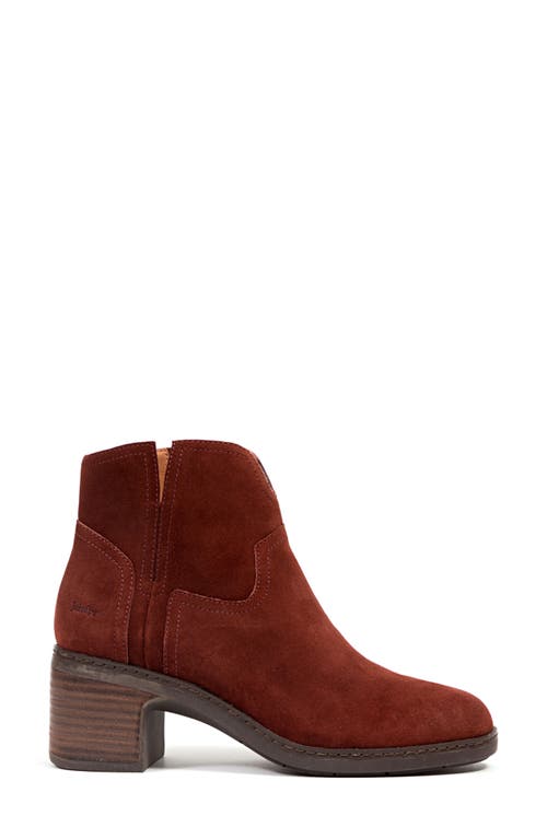 Jambu Vanda Bootie In Brown