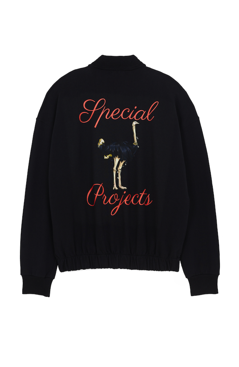 THE RAD BLACK KIDS Ostrich Jacket, Alternate, color, 