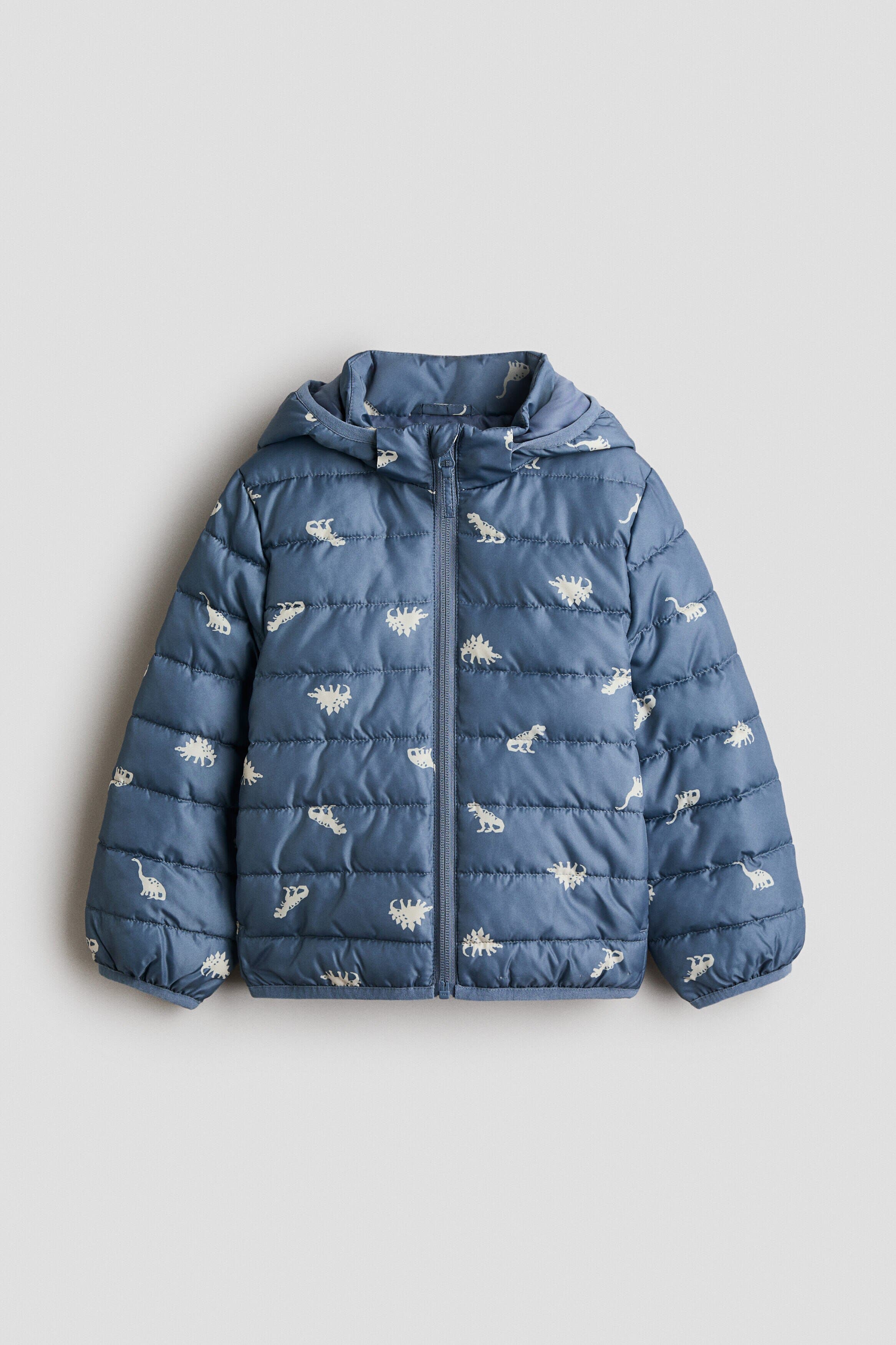 selected Dusty blue/dinosaurs