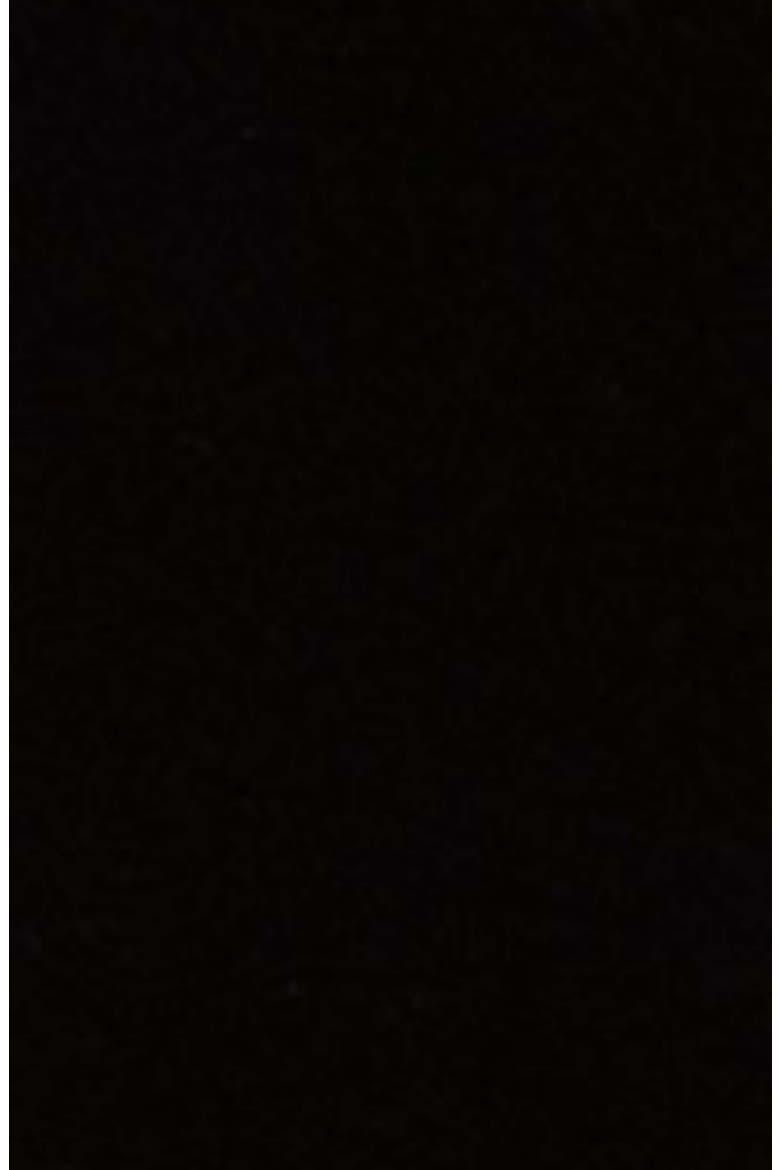 Velvet Long Blazer, Alternate, color, BLACK