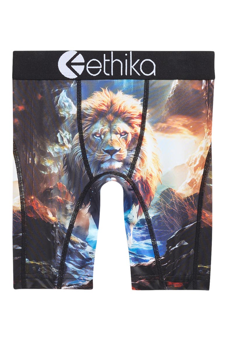 Kids' Lion Hearted Boxer Briefs, Main, color, BLUE