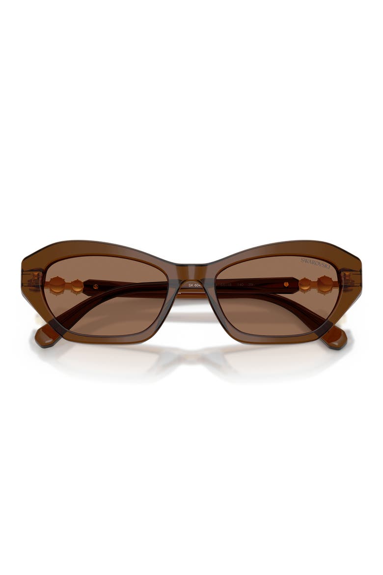 54mm Cat Eye Sunglasses, Alternate, color, TRANSPARENT BROWN / DARK BROWN