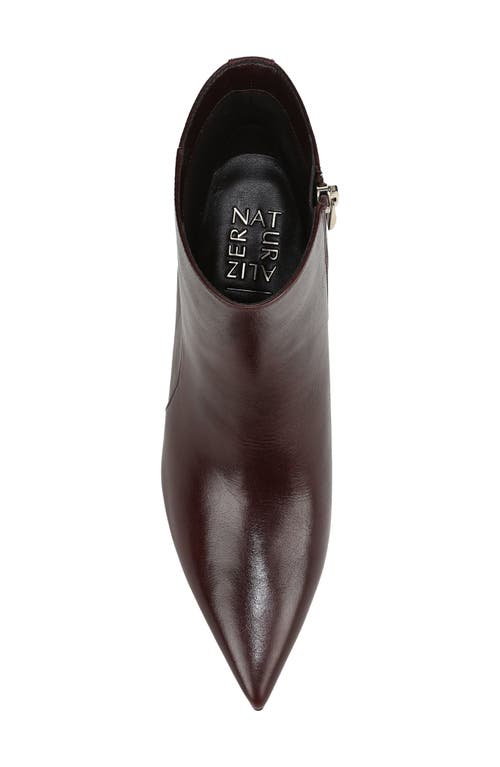 27 Edit Naturalizer Patrese Pointed Toe Kitten Heel Bootie In Burgundy