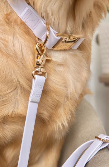 Cloud Lite Waterproof Dog Harness