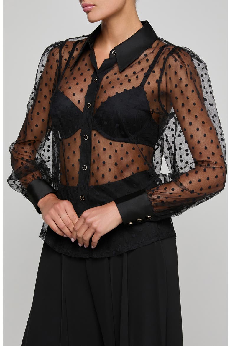 Sophie Swiss Dot Sheer Mesh Button-Up Shirt, Alternate, color, BLACK