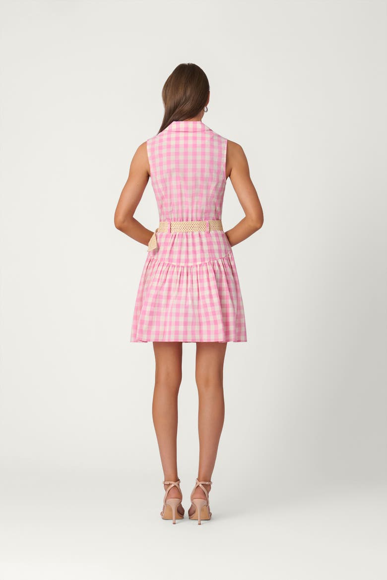 Gingham Natalia Dress, Alternate, color, Peony/Optic
