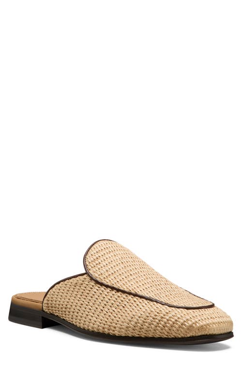 Stuart Weitzman Duff Mule In Brown