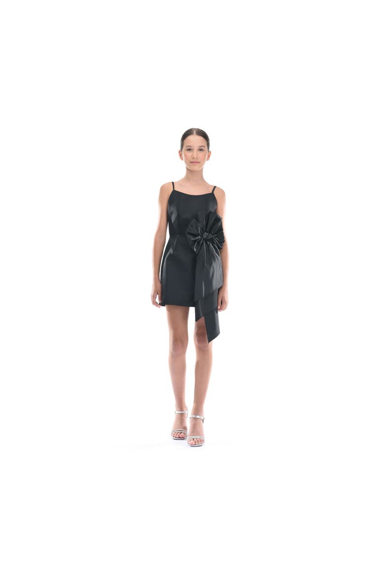 Livonia Dress, Alternate, color, Black
