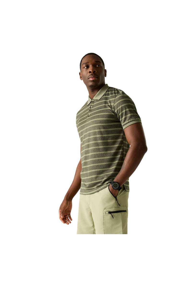 Kildra Polo Shirt, Alternate, color, Light Sage and Dark Khaki