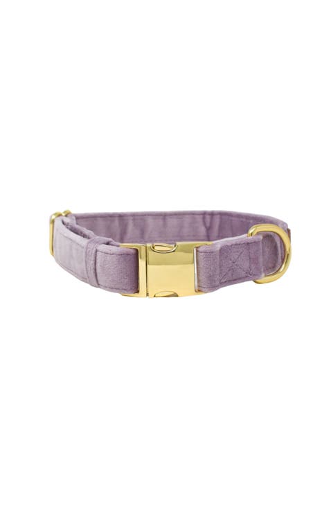 Billie Dog Collar