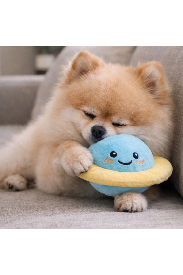 Dog Toy, Alternate, color, Multicolored